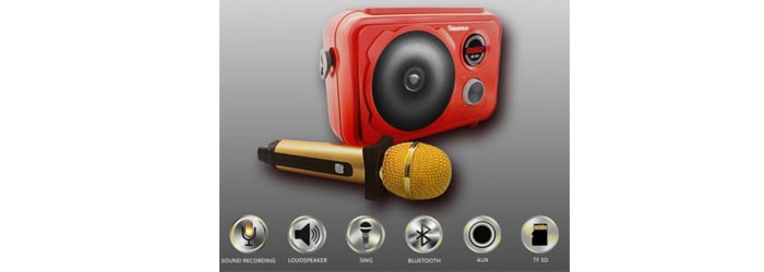 اسپیکر بلوتوث اس دی آر دی SD-501 با میکروفن وایرلس