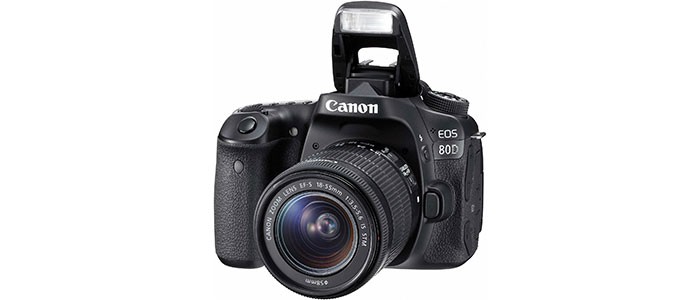 دوربین عکاسی دیجیتال کانن با لنز 70-24 میلیمتری EOS 80D
