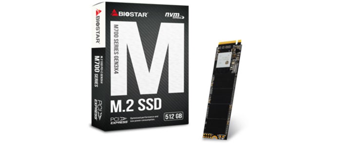حافظه اس اس دی بایوستار M700 512GB