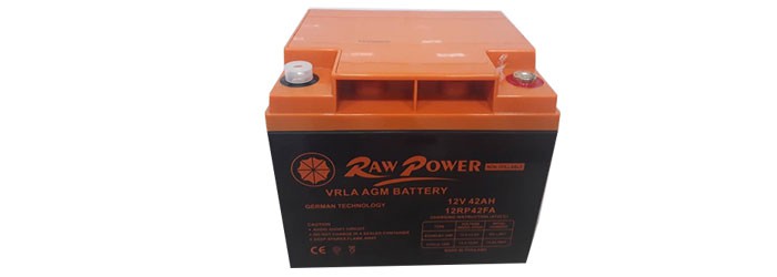 باتری سیلد اسید Raw Power 12RP42FA 12V 42AH