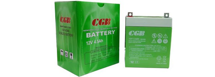 باتری سیلد اسید سی جی بی CB1245 12V 4.5Ah