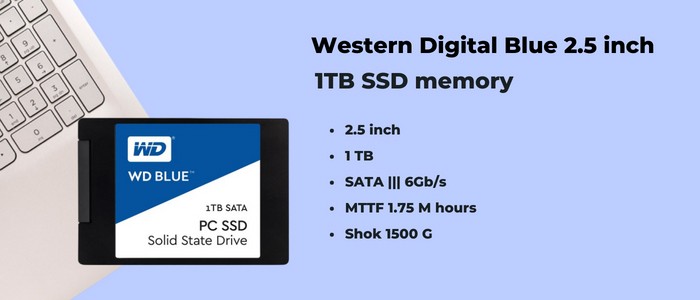 هارد SSD وسترن دیجیتال 1 ترابایت Blue WDS100T1B0A