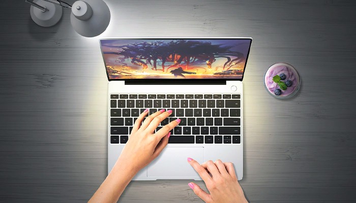 لپ تاپ هوآوی MateBook 13 WRTB-WAH9L i5 8GB 512SSD